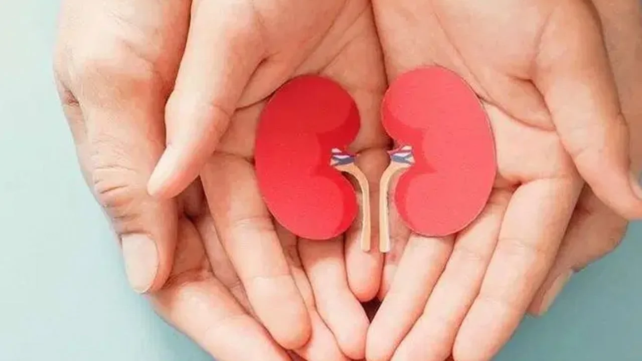 Böbreklerinize zarar veren 7 yaygın alışkanlık: Yetersiz su , bilinçsiz ilaç kullanımı ve aşırı tuz...