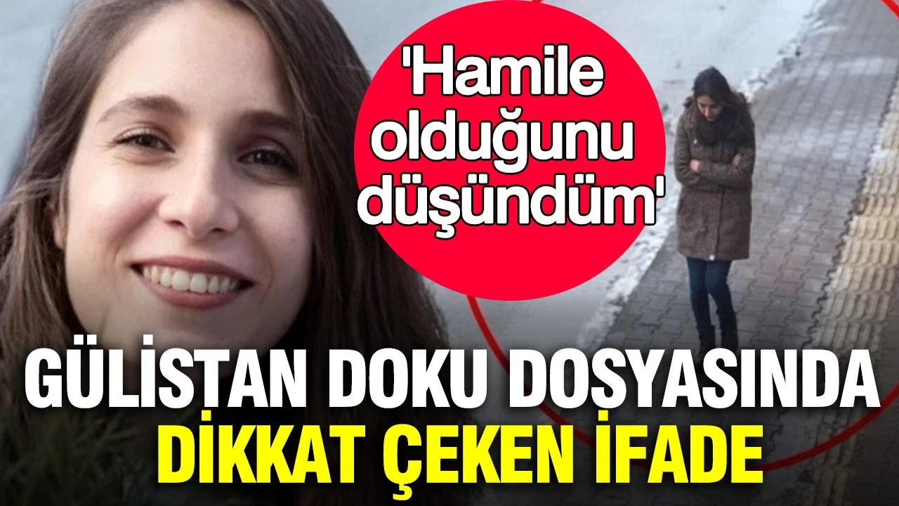 Gülistan Doku dosyasında dikkat çeken ifade: 'Hamile olduğunu düşündüm'