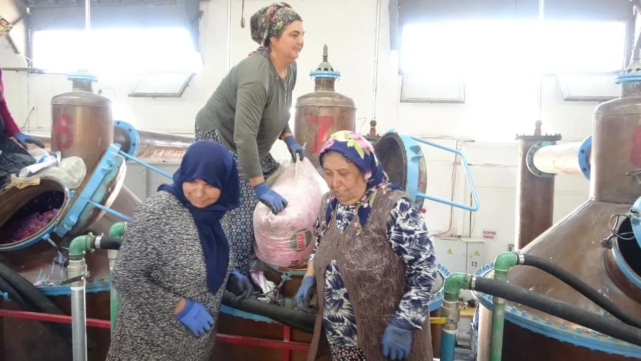 Kilosu bir araba parası! Sadece Türkiye'de değil dünyada da kapış satılıyor