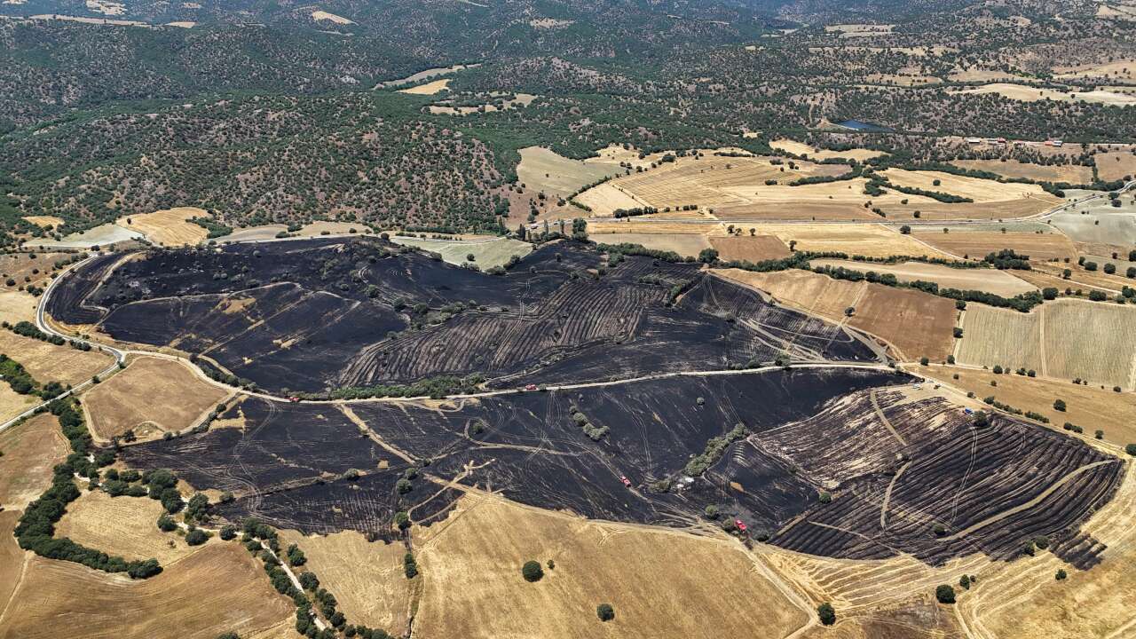 Uşak'ta tarım arazilerindeki yangın kontrol altına alındı