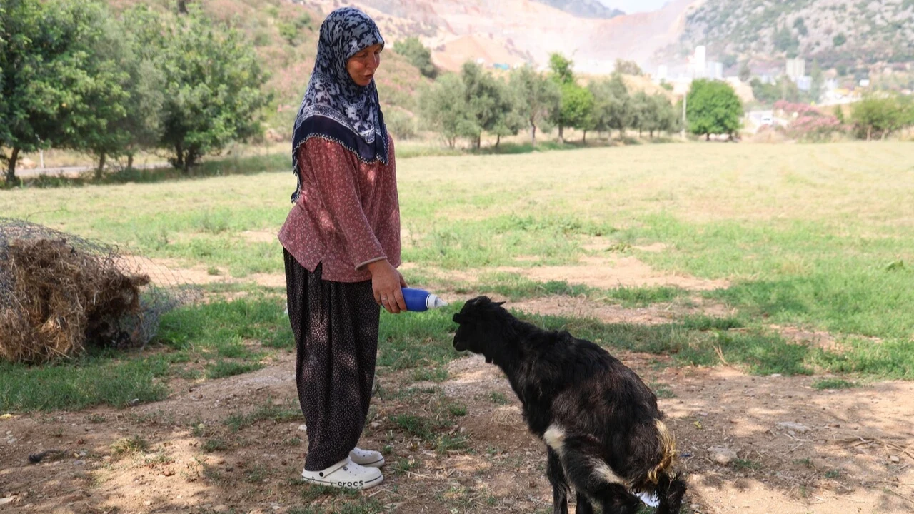 Görme engelli öksüz yavru anne sevgisini Hayriye teyzede buldu