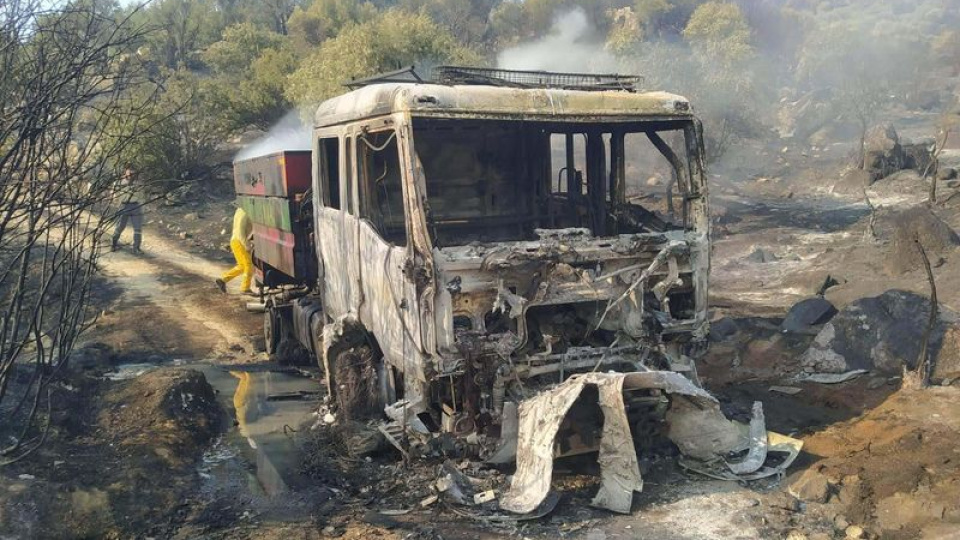 Aydın'da 8 saat söndürülen yangında 100 hektar zeytinlik zarar gördü
