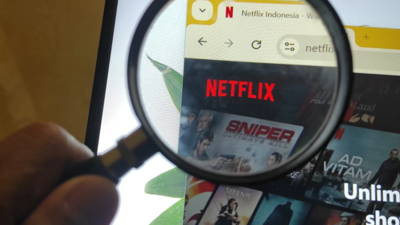 Netflix'e telif cezası: Türk öğretmene 1 milyon 950 bin lira tazminat ödeyecek
