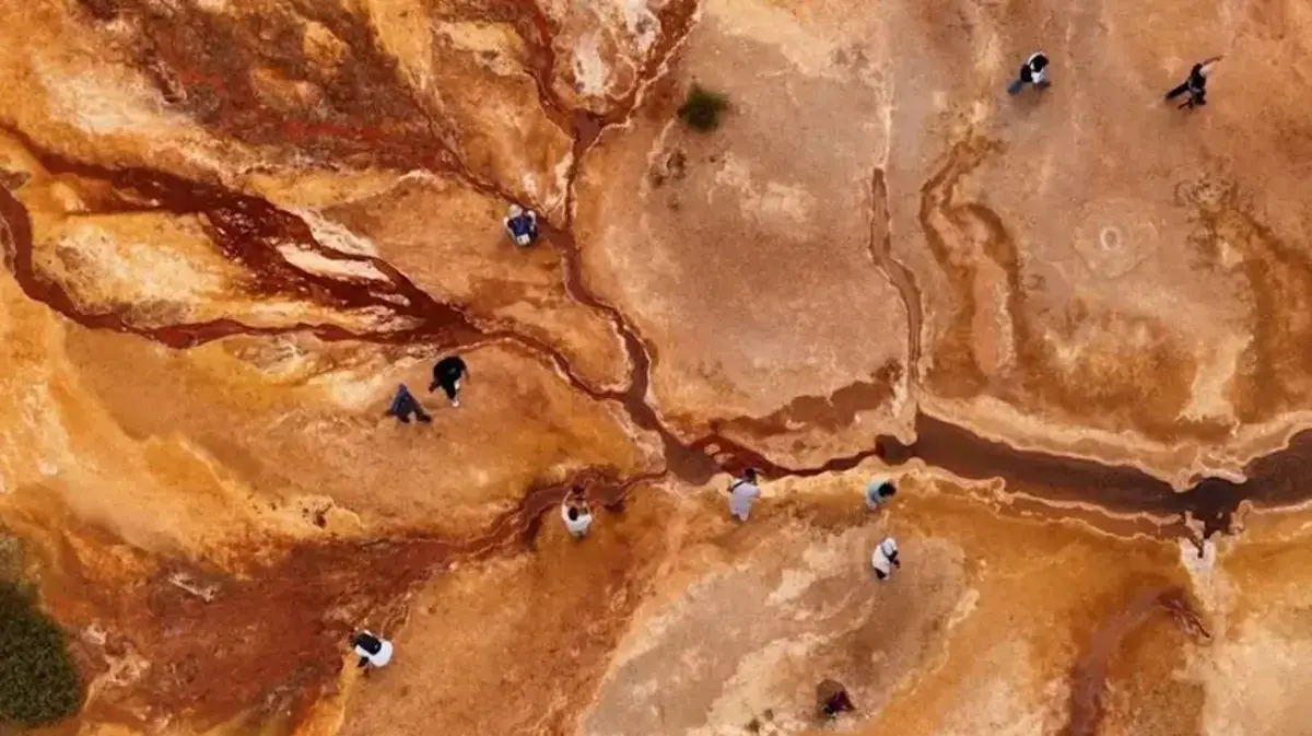 Dünyada sadece Erzincan'da var! Herkes görmek için sıraya giriyor, tek bir amaçları var