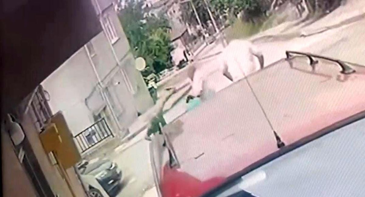 Kardeş katliamının zanlısı teslim oldu