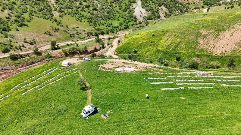 Devlet desteğiyle hayatları değişti: Tüm Türkiye'ye örnek oldular