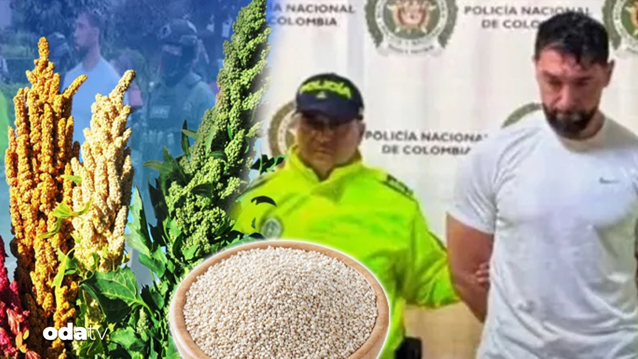 Uyuşturucuyu kinoaya emdirdiler... Medellin'den Avrupa'ya uyuşturucu hattı... Altından Türk baron çıktı