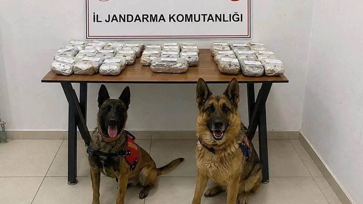 Hakkari'de 21 kilo 650 gram toz esrar ele geçirildi