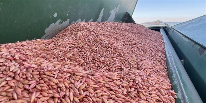 211 ülkeye 4,8 milyar dolarlık hububat ihraç edildi