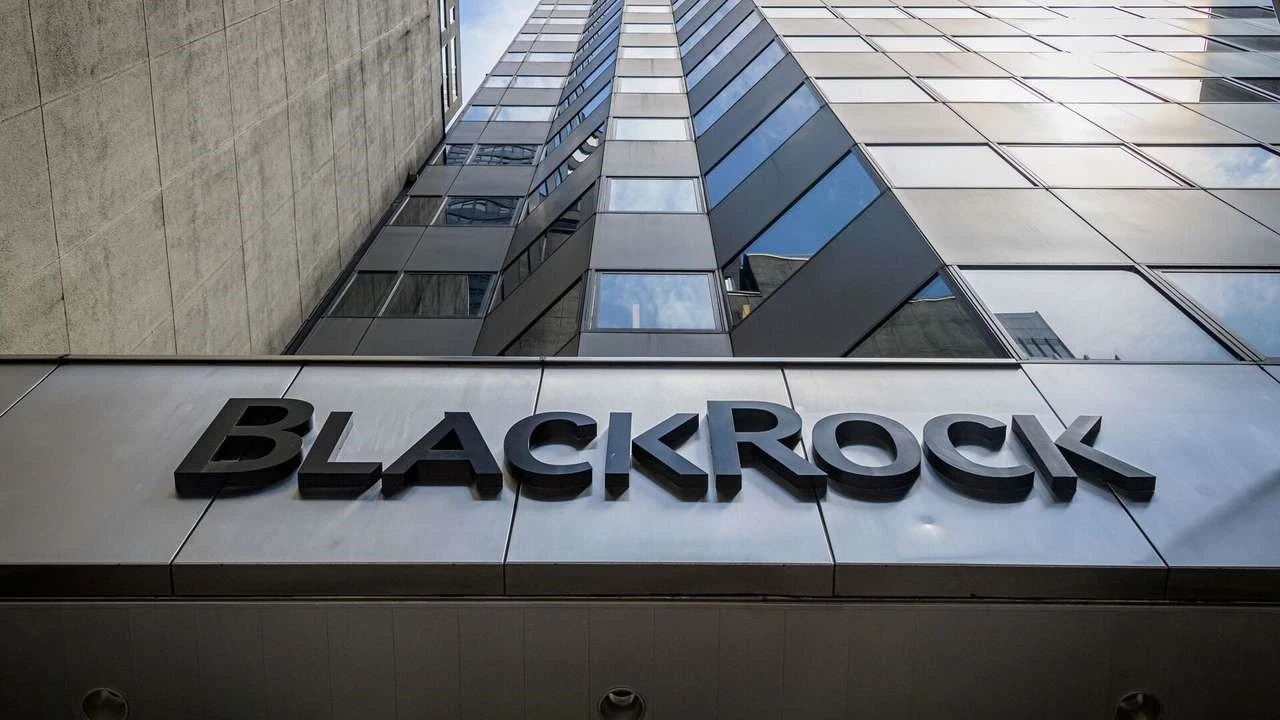 BlackRock gelişen piyasalarda frene bastı