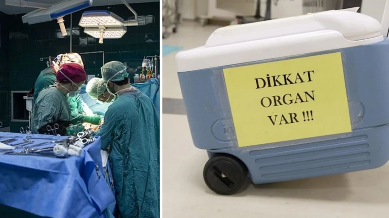 481 beyin ölümünden sadece 97 akciğer bağışlandı