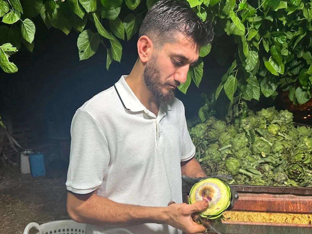 Bursa'da "enginar soyucuları" mesaiye başladı