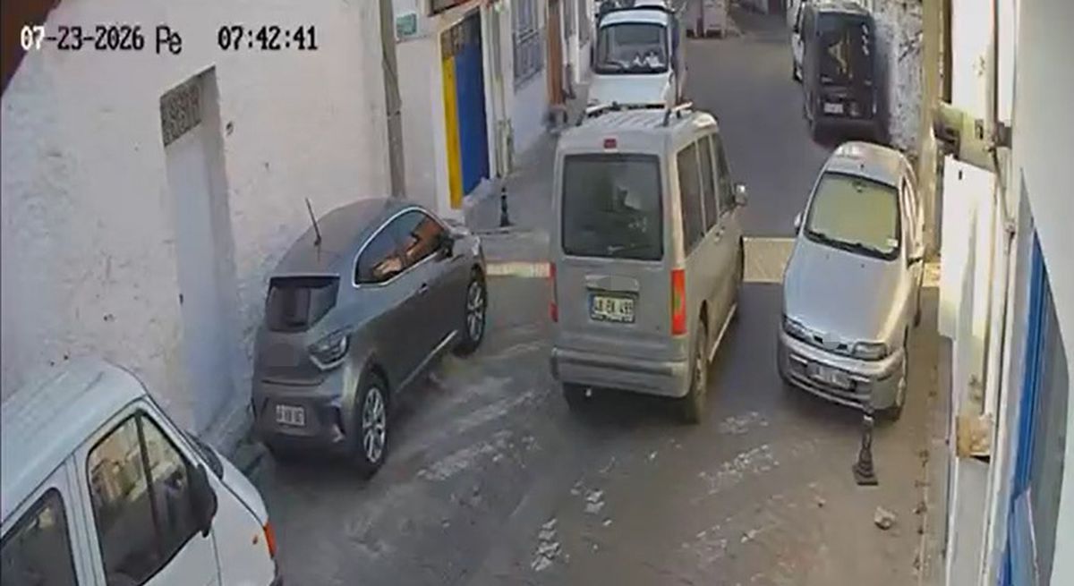 Muğla'da sürücü iki kediyi ezerek kaçtı