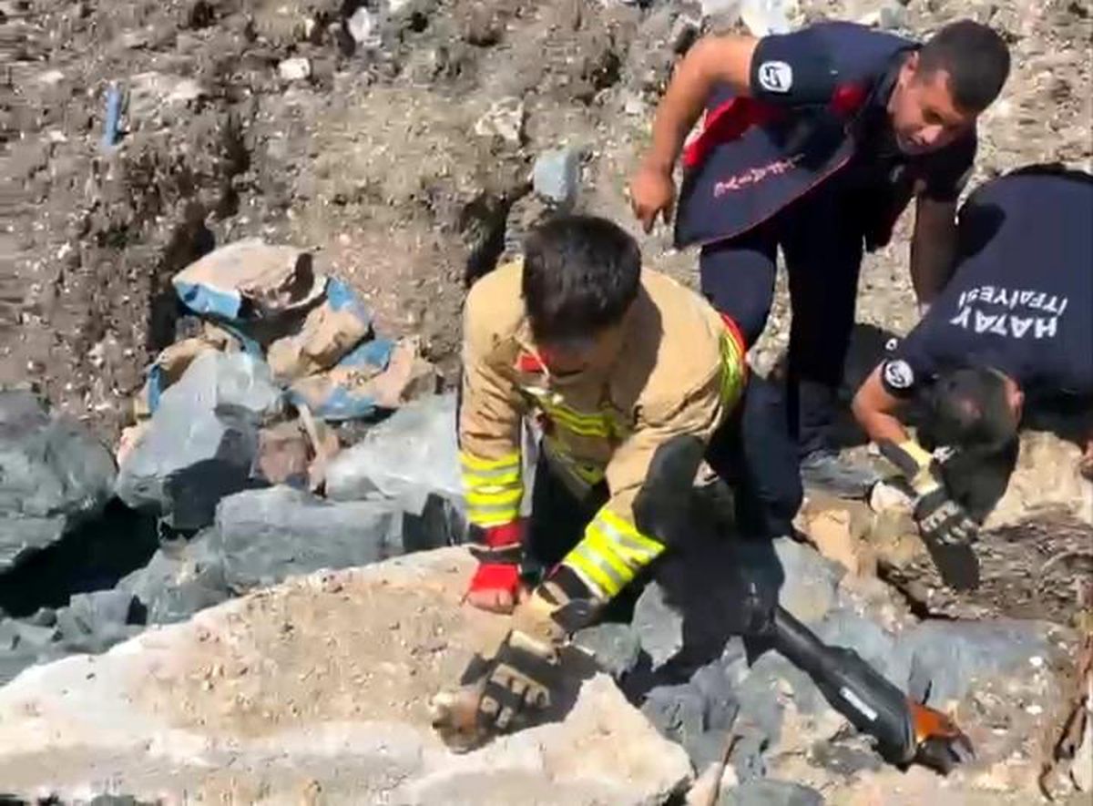Anne kedi yavruları kurtarılana kadar ekiplerin başında bekledi