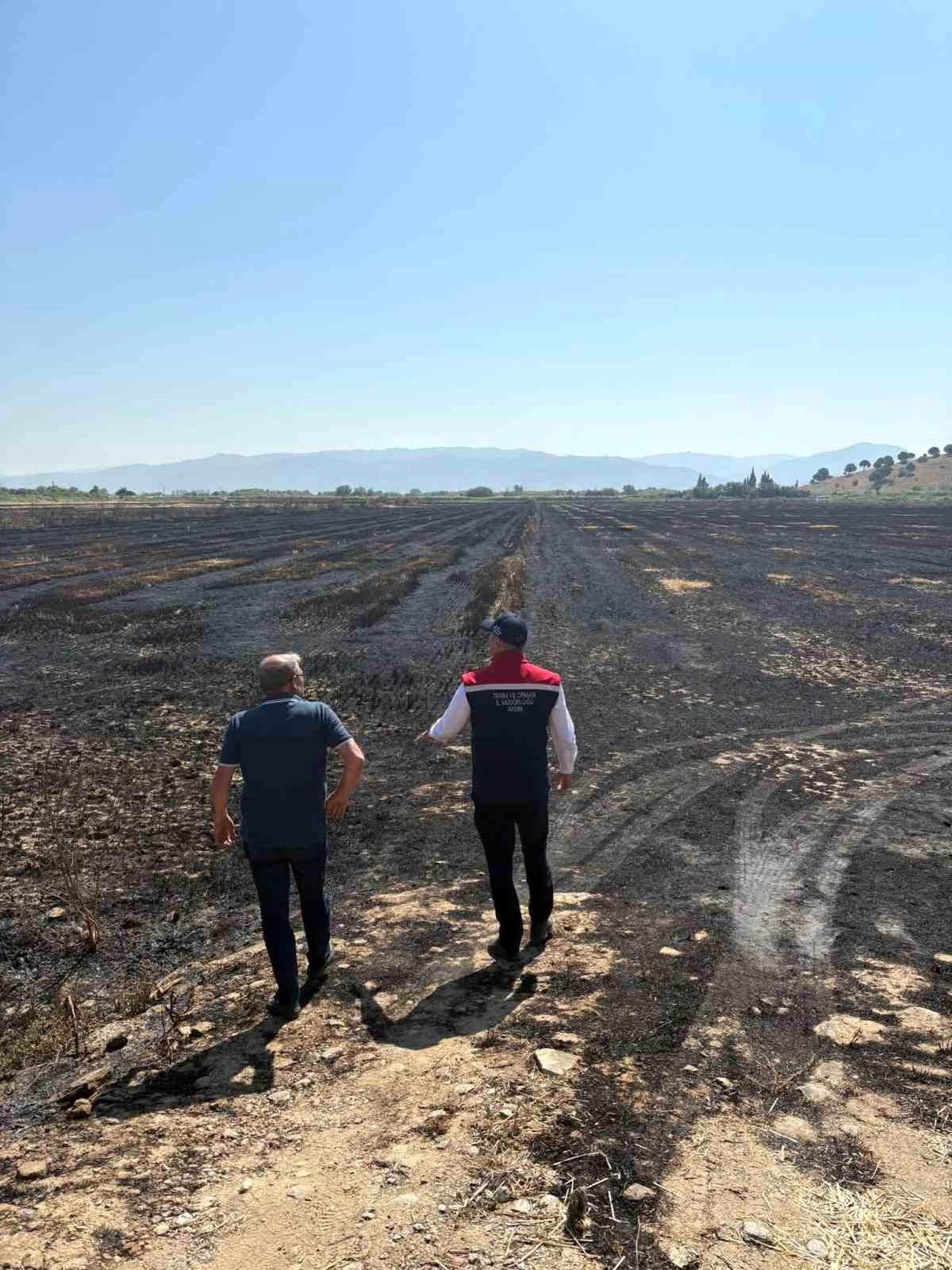 Söke'de yangından zarar gören tarım arazileri incelendi