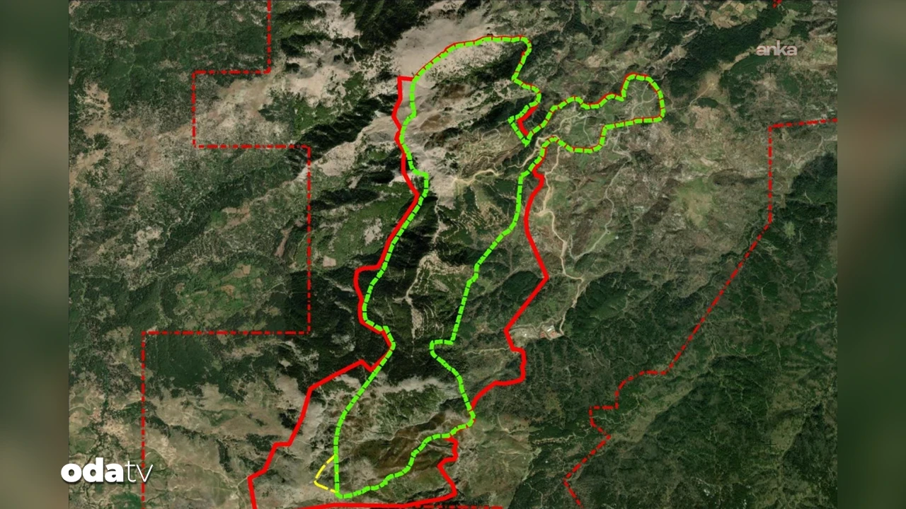 Altın madeni için onay çıktı: Madra Dağı'nda 66 bin ağaç kesilecek