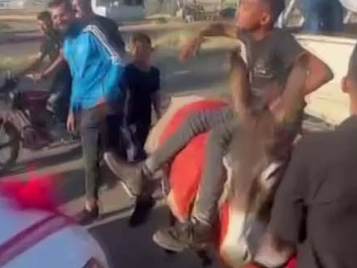 Hatay'da çocuk çobanlar, eşekle düğün konvoyunun önünü kesip damattan bahşiş aldı