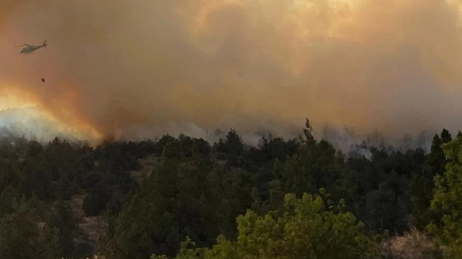Bilecik’teki orman yangını 3 saatin ardından kontrol altına alındı