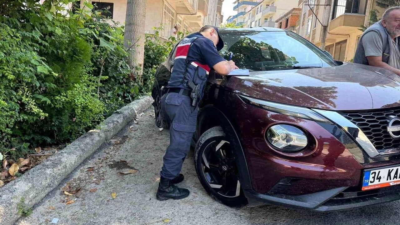 Yokuşu çıkamadı ağaca vurdu