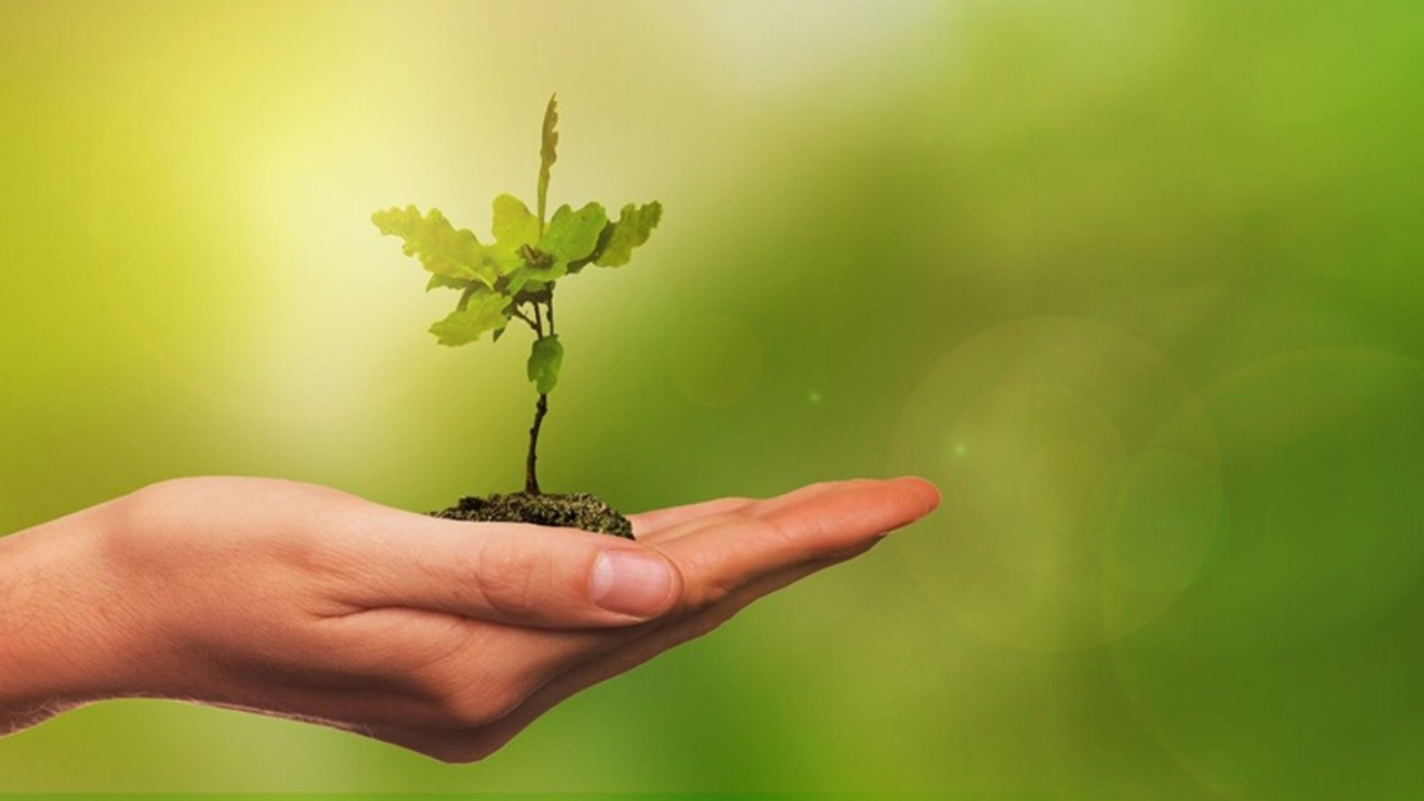 COP 31 ve enerji dönüşümündeki yeni cephe