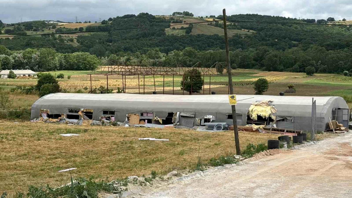 Hayvan çiftliğindeki yangında 5 kuzu telef oldu, bin balya küle döndü