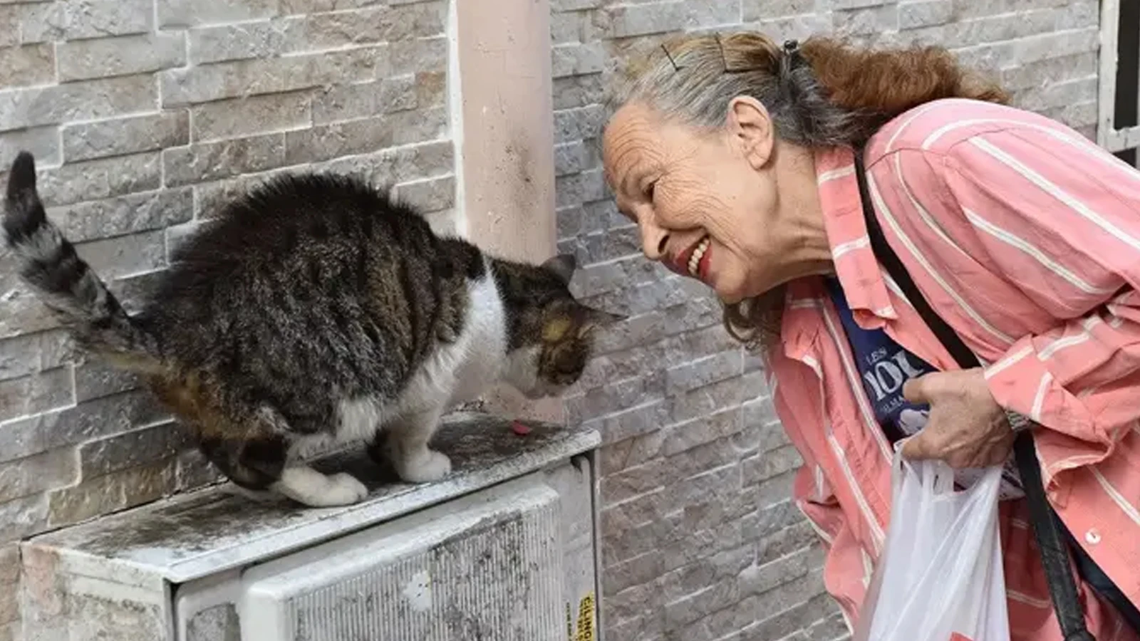 Panter Emel’den acı haber: Emel Yıldız hayatını kaybetti