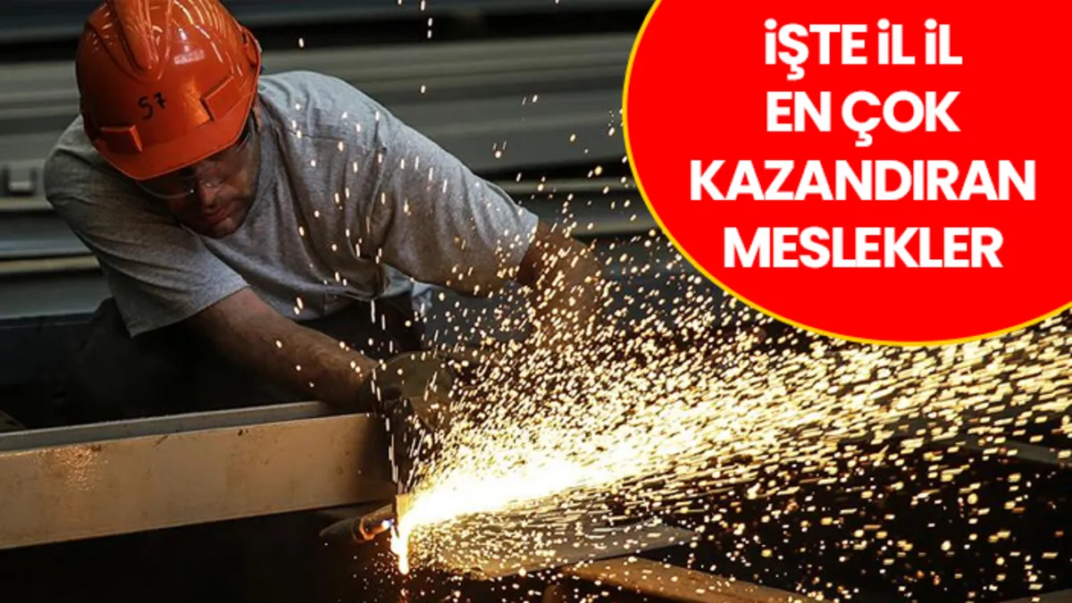 İl il en çok kazandıran meslekler açıklandı! Bakın sizin şehrinizde hangi iş zirvede...