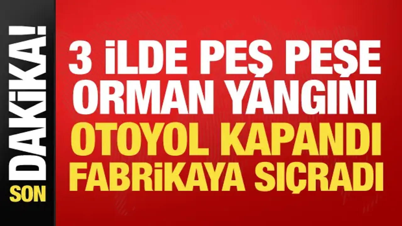 Alevler 3 ili sardı! Otoyol kapandı, fabrikaya sıçradı