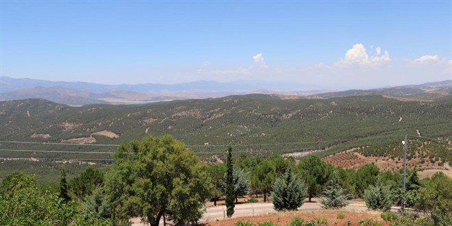 Kilis'te ormanlık alanlara giriş yasaklandı