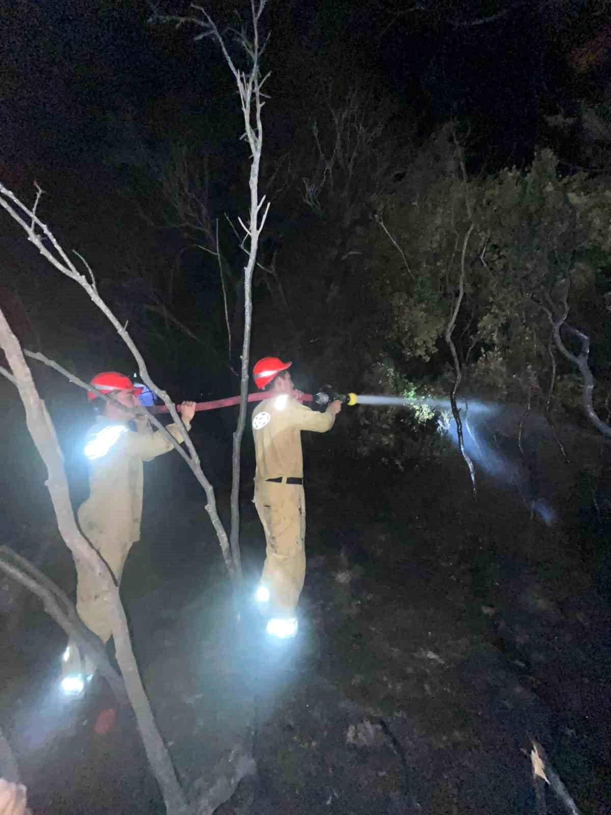 Ormanlık alandaki yangın büyümeden söndürüldü
