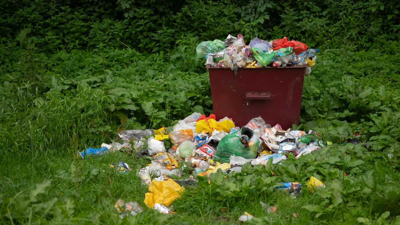 Avrupa’dan Türkiye’ye gönderilen plastik atık 2025’te rekor kırdı: Türkiye, Avrupa Birliği’nin en büyük plastik atık alıcısı