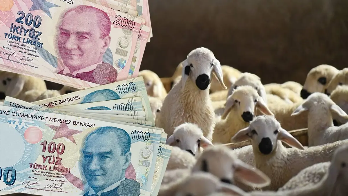 Bakan Yumaklı yeni projeyi duyurdu! Gelir Garantili Besicilik ile hayvancılığa destek