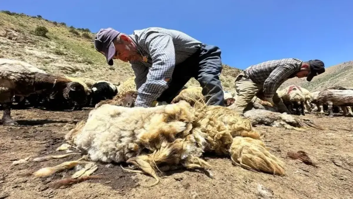 Erzincan'da mesai başladı: 1 yıl beklenen 3 dakikada tükeniyor