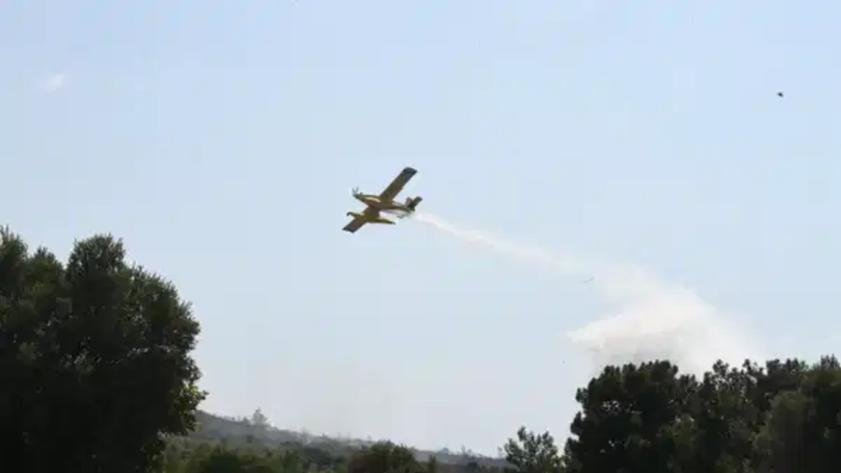 SON DAKİKA: İzmir'de yangın alarmı