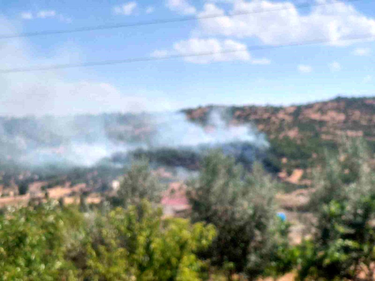 Dicle'de örtü yangını