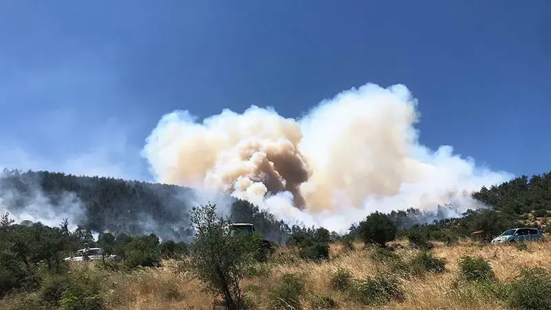 Balıkesir'de orman yangını