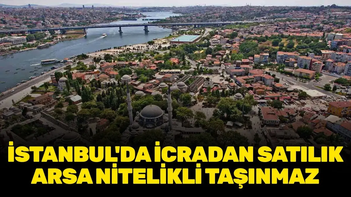 İstanbul Eyüpsultan'da icradan satılık arsa nitelikli taşınmaz!