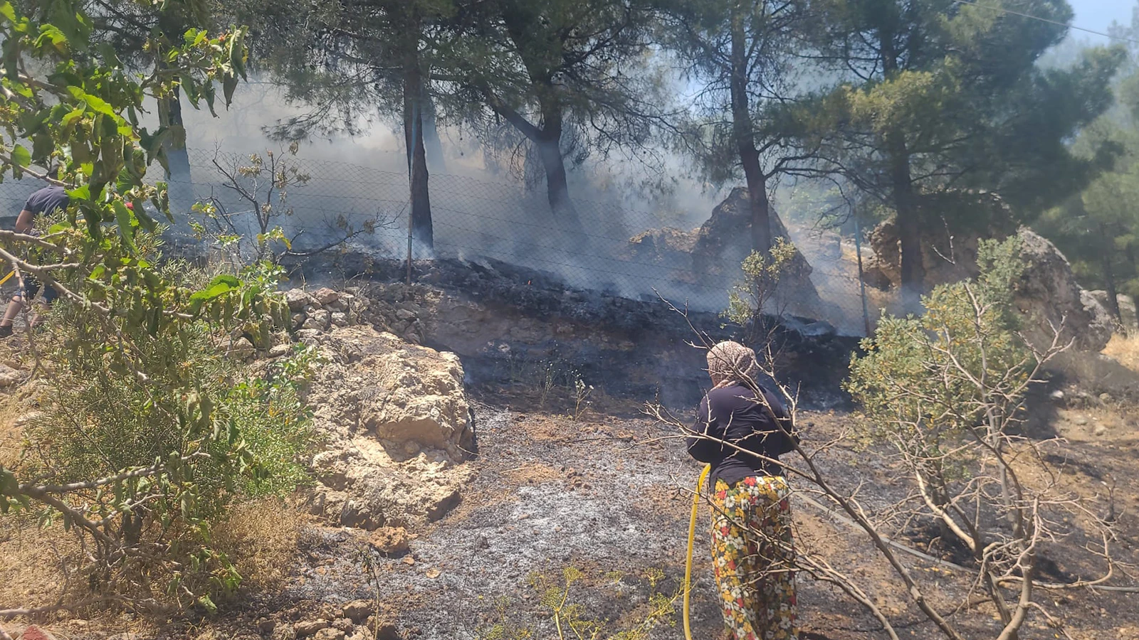 Kahramanmaraş’ta orman yangını