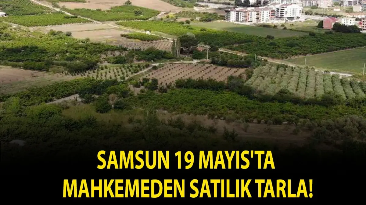Samsun 19 Mayıs'ta mahkemeden satılık tarla!